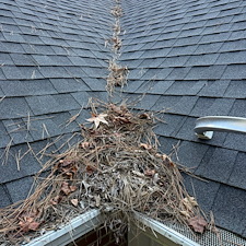 Thorough-Gutter-Debris-Cleanout-in-Oxford-MS-Goose-Creek-Estates 1